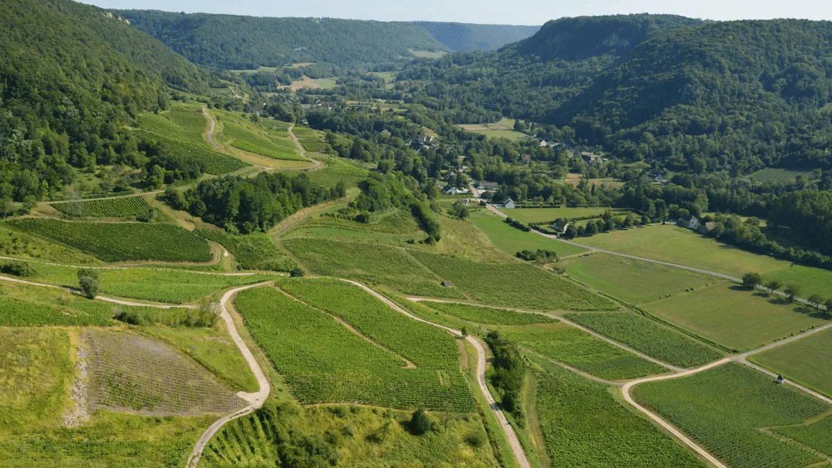 Percée du vin jaune 2027 à Arlay : billets, accès et où dormir en groupe